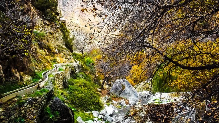 Escursione di un giorno nella Valle dell’Ourika da Marrakech