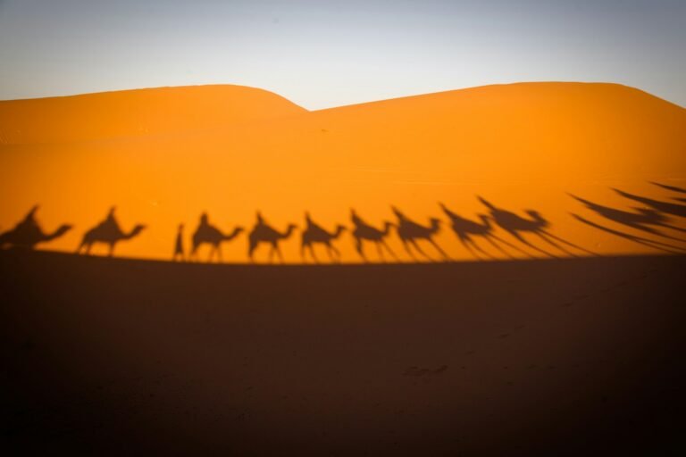 Tour di 3 giorni da Fes a Merzouga, viaggi ed escursioni in Marocco