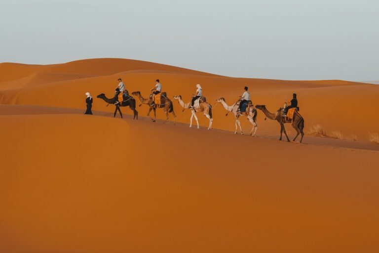 Vacanze estive in Marocco con cammello nel deserto e cielo stellato